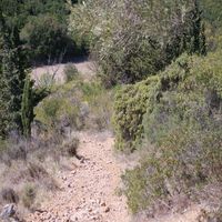 Photo de france - La randonnée de l'ancien refuge sur la colline